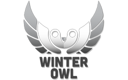 WinterOwl.png