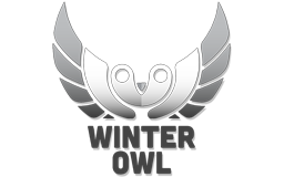 WinterOwl.png